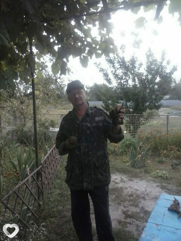 Аркадий