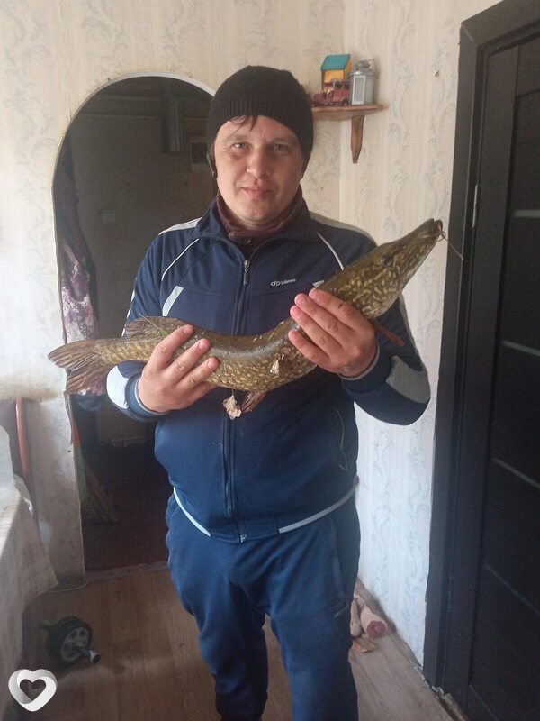 Аркадий