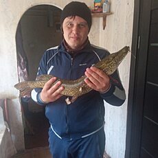 Аркадий