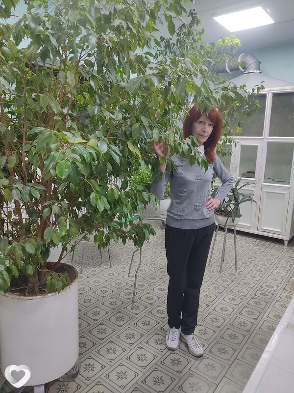 Света