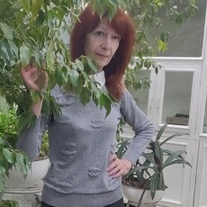 Света