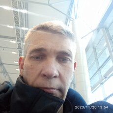 Платоша