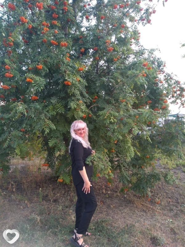 Лина