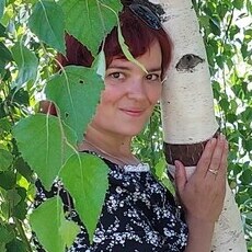 Снежа