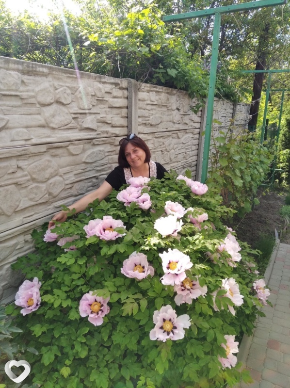 Карина