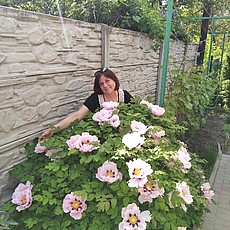 Карина