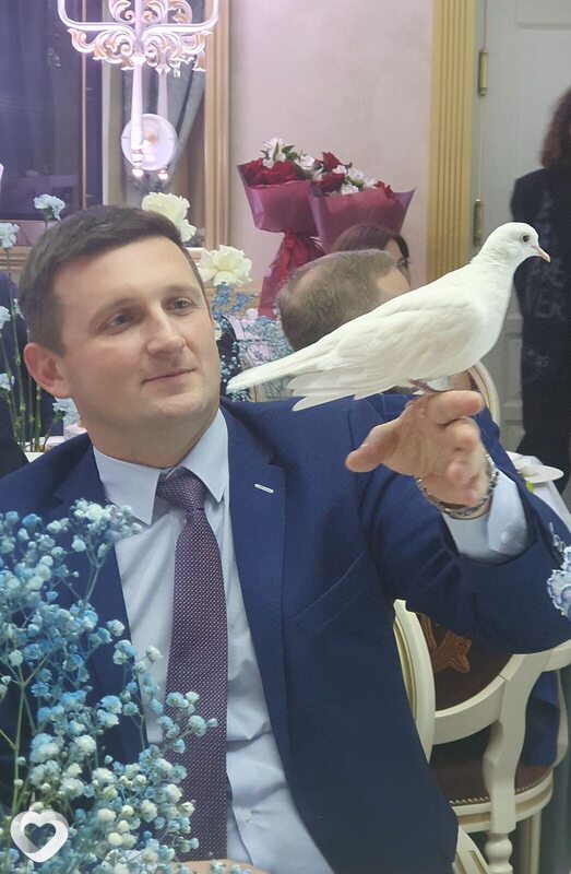 Платоша