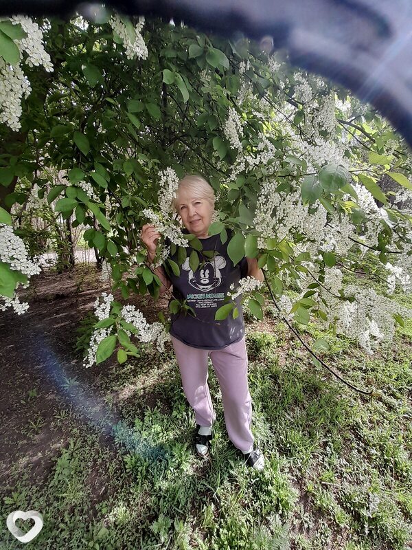 Васса