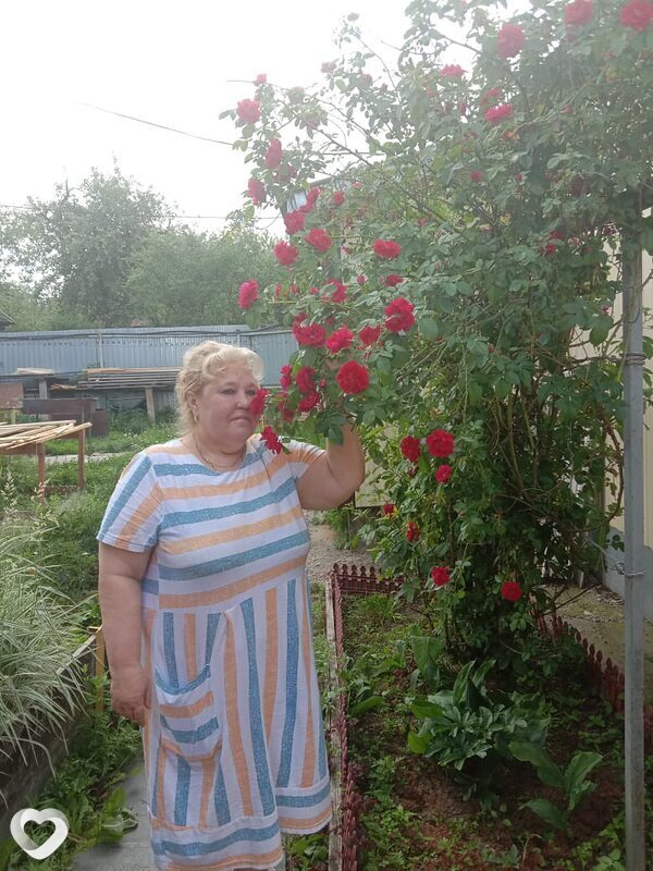 Алиса