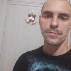 Лев