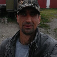 Всеволод