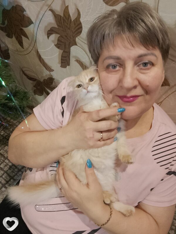 Алиса
