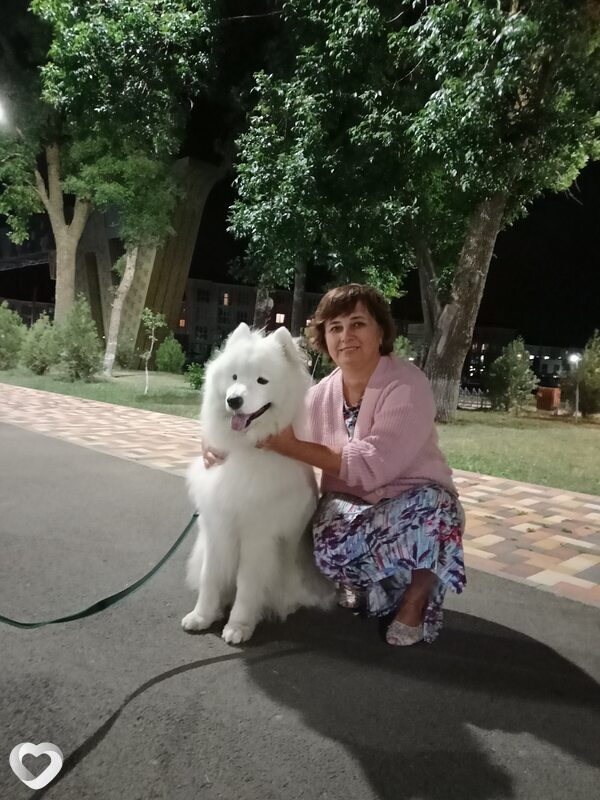 Злата