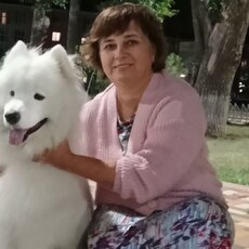 Злата