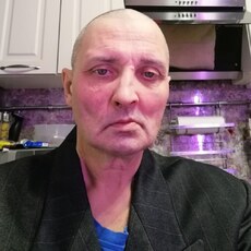 Платоша