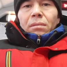 Стёпа