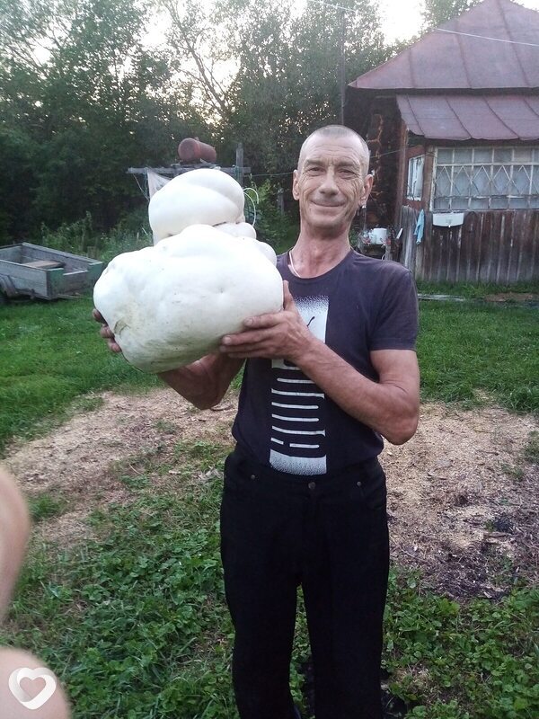 Слава