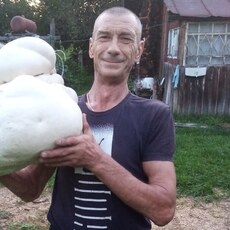 Тим
