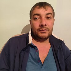 Всеволод