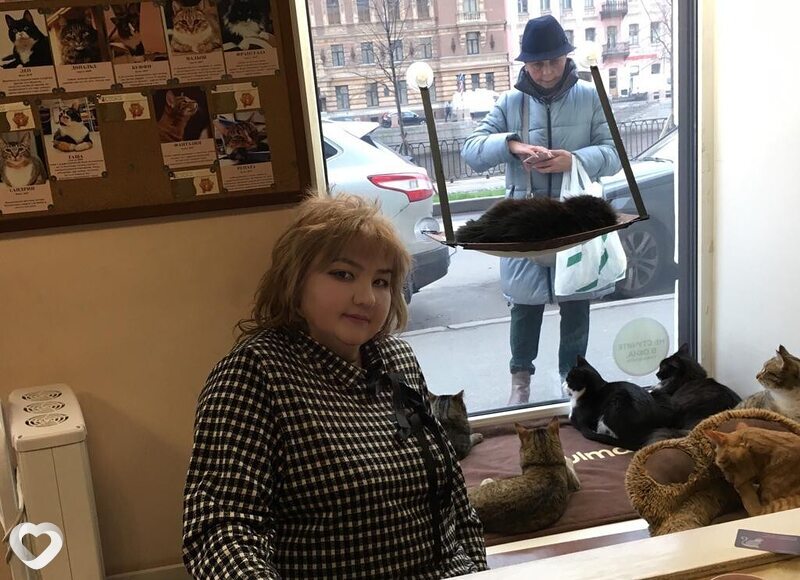 Саша