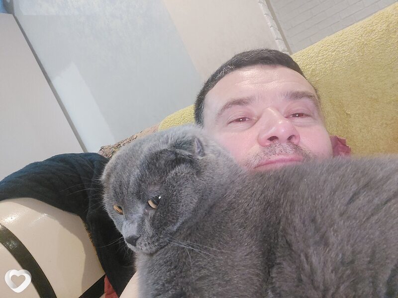 Всеволод