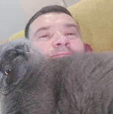 Всеволод