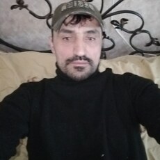 Лев