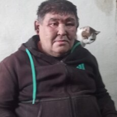 Стёпа