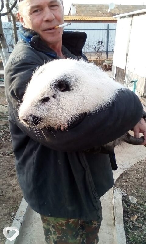 Оскар