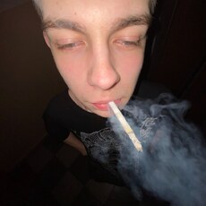 Лев
