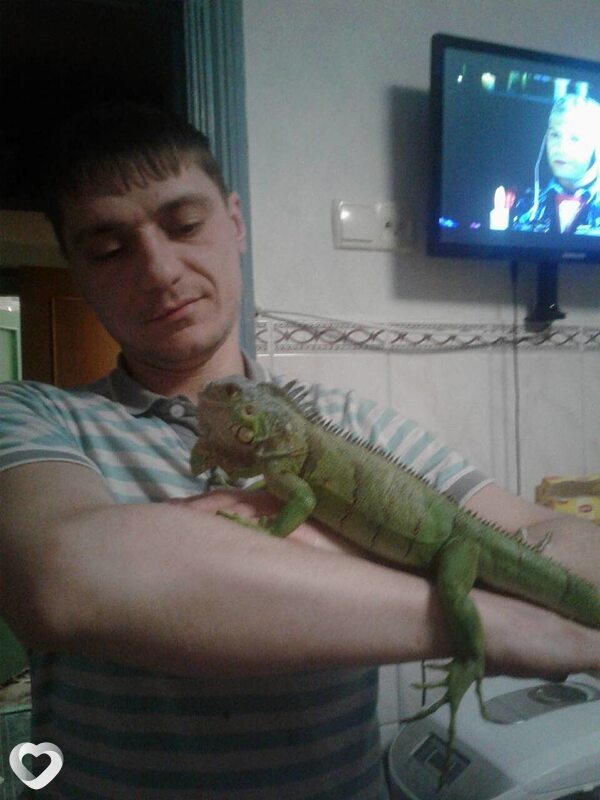 Михаил