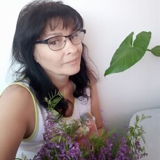 Снежа