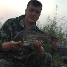 Гоша