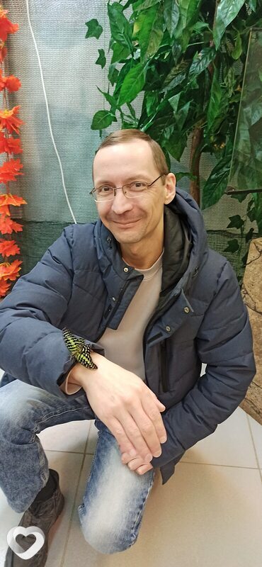 Арсений