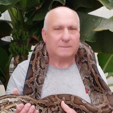 Артёмий