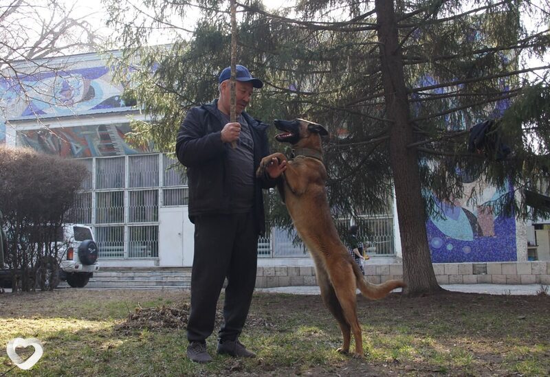 Боря