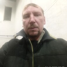 Гаврик