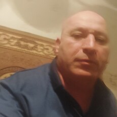Лев