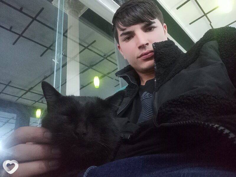 Тим