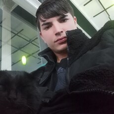 Тим