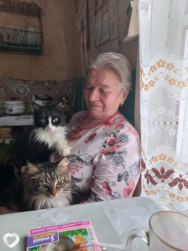 Васса