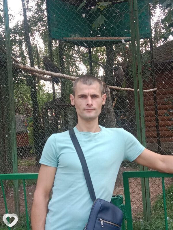 Тим