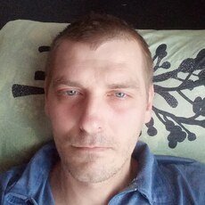 Альбик
