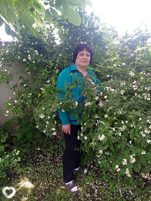 Лиза