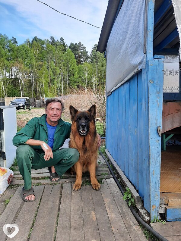 Нестор