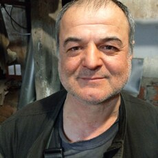 Платоша